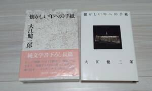 懐かしい年への手紙 大江健三郎／著