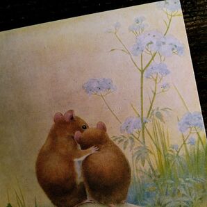 Noel Hopking I39 (11)◆ 動物 きのこ ハツカネズミ 子供 イラスト アンティークポストカード ビンテージ 外国絵葉書イギリスの画像5