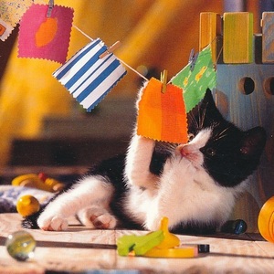 猫(13) K87◆ビンテージポストカード フランス ドイツ ベルギー イタリア イギリス ネコ ねこ 子猫 外国絵葉書