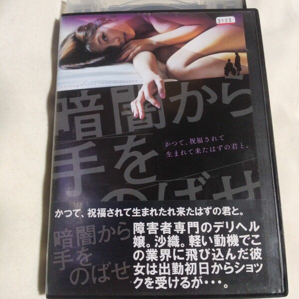 暗闇から手をのばせDVDそれでも生きていく 小泉麻耶主演 レンタル落ち中古品