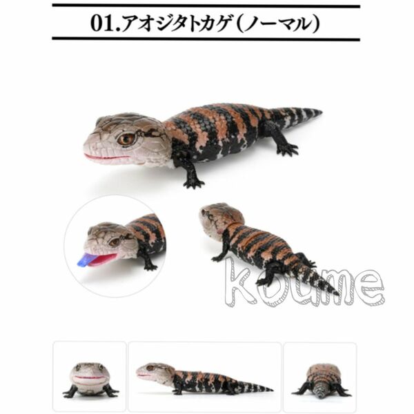 レプティ アオジタトカゲとニシアフリカトカゲモドキ ガチャ アオジタ ノーマル いきもの大図鑑レプティ フィギュア