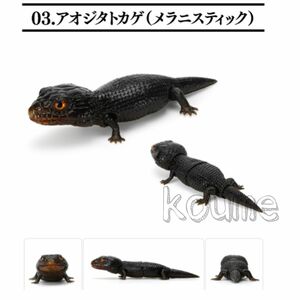 いきもの大図鑑レプティ バンダイ レプティ アオジタトカゲとニシアフリカトカゲモドキ ガチャ アオジタトカゲ メラニスティック