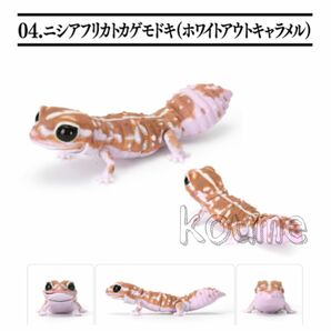 アオジタトカゲとニシアフリカトカゲモドキ ガチャ ホワイトアウトキャラメル いきもの大図鑑 フィギュア バンダイ