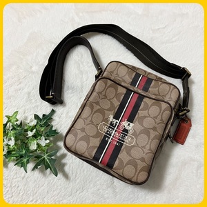 未使用級 COACH ショルダー バッグ PVC 革 シグネチャー 馬車 ライン