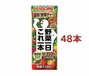 【48本】カゴメ 野菜一日これ一本 200ml