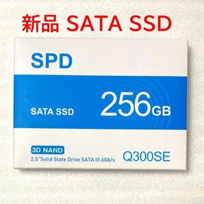 SATA SSD 256GB Q300SE-256GS3D