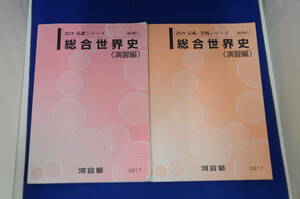 予備校テキスト★河合塾 2019 基礎シリーズ 完成・実戦シリーズ 総合世界史(演習編) 2冊セット