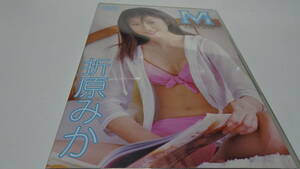 折原みか「M MIKA ORIHARA FIRST DVD」ＤＶＤ新品未開封