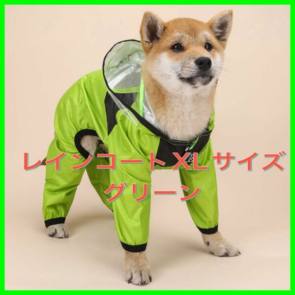 犬服レインコートフェイスカバー付きスナップボタンカッパおしゃれXLサイズグリーン
