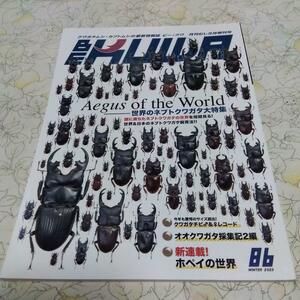 * monthly .. increase .BE KUWA Beak waNo.86 world. nebto stag beetle large special collection!!*