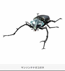 いきもの大図鑑 ガチャ かぶとむし04 ヤンソンテナガコガネ