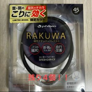 ファイテン RAKUWA 磁気チタンネックレスS-Ⅱ