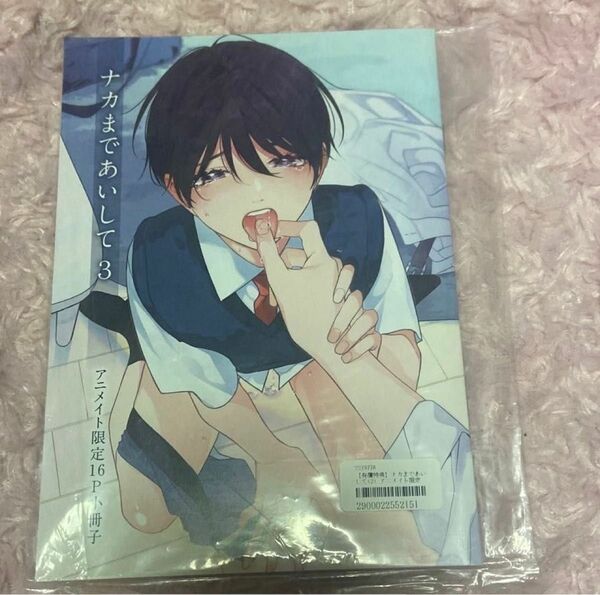 ナカまであいして3 アニメイト小冊子　百瀬あん