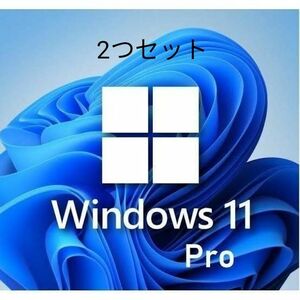 windows11 pro プロダクトキー 2つセット