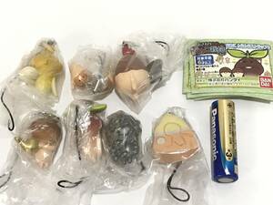 なめこ栽培キット なめこんふんふストラップ6　全7種 なめこ 鉱石なめこ まめなめこ化石なめこ なめタマゴ 双葉なめこ 黄なめこ ガシャポン