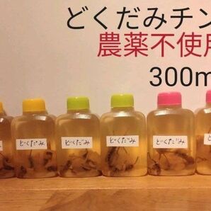 どくだみエキス チンキ 農薬不使用300ml