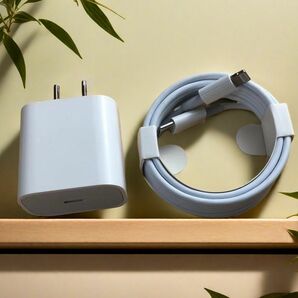 1個 充電器 2m1本 タイプC iPhone 高速純正品同等 匿名配送 白 白 ケーブル ライトニングケーブル 新(9Cj)