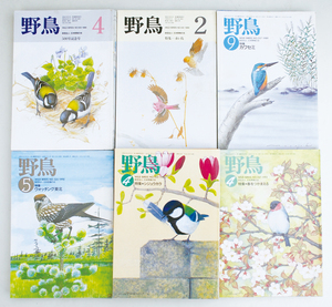 【趣味雑誌】野鳥　通巻500～560号　61冊揃　日本野鳥の会　1988～93年　生態　生物　観察　バードウォッチング【自然】