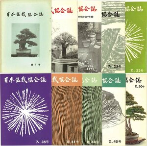[ bulletin ] Japan bonsai association magazine Showa era 40~52 year hobby gardening plant tree no. 1~50 number inside [10 pcs. ]