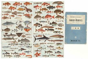 【生物】日本重要水産動物　尚美堂教育資料絵葉書集2　魚類（2）　原色版　田中良三　昭和15年　袋付　自然科学【8枚組】