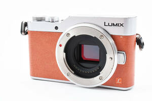 Panasonic LUMIX DC-GF9 ボディ　パナソニック　ルミックス ミラーレス　一眼レフ　デジタルカメラ #600