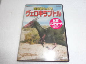 #DVD 肉食恐竜の真実「ヴェロキラプトル」 [DVD] d005