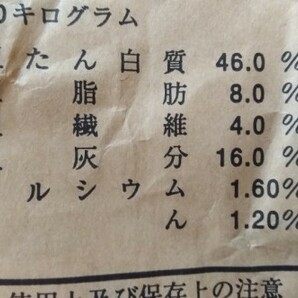 送料無料 1kg 2mm エサ 高脂肪 高蛋白 熱帯魚 エビ その他 餌 魚粉60%上級グレードの画像5