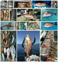 【鯛ラバ】魚眼ケイムラ＋オーロラver. タイラバ3本セット　様々な海域で多数の釣果報告を頂いております！_画像2