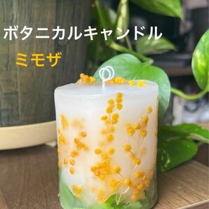 ボタニカルキャンドル ミモザ 3D ハンドメイド