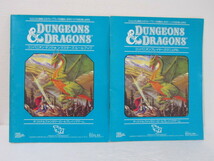 DUNGEONS & DRAGONS　ダンジョンズ＆ドラゴンズ　コンパニオンプレイヤーズマニュアル・ダンジョンマスターズルールブック　2冊_画像1