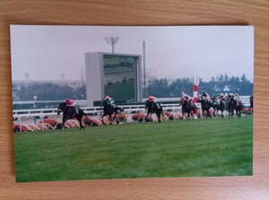 ナリタブライアン 第55回 菊花賞 生写真 迫力ある大きめサイズ　当時物 京都競馬場 　ウマ娘　