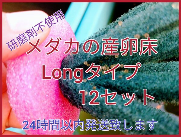 メダカの産卵床 Longタイプ 12セット