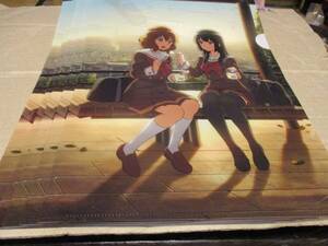  red castle ×..! euphonium clear file 5 sheets sof