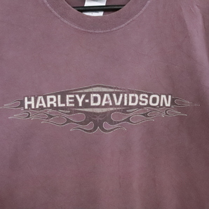 N324 2006年製 USA製 HarleyDavidson ハーレーダビッドソン 半袖プリントTシャツ■00s 表記Lサイズ パープル ブラックヒルズ 古着 古着卸の画像5