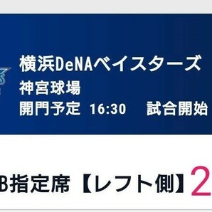 5/23（木）スワローズ vs ベイスターズ　2枚ペア　@神宮球場