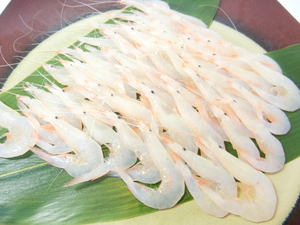 [Max] domestic production Toyama . production white shrimp raw meal for 500g freezing . attaching white sea .