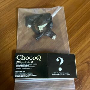 チョコQ 日本の動物　第6弾　シークレット　イリオモテヤマネコ　おまけ付き
