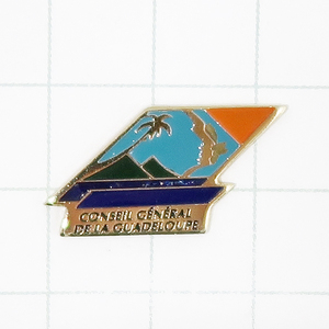 DKG★ PINS ピンズ フランス 雑貨 ピンバッチ ピンバッジ ピンバッヂ P894　CONSEIL CENERAL DE LA GUADELOUPE グアドループ　総評議会