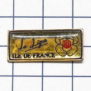 DKG★ PINS ピンズ ピンバッチ ピンバッジ ピンバッヂ P2697　ILE DE FRANCE　イル＝ド＝フランス地域圏