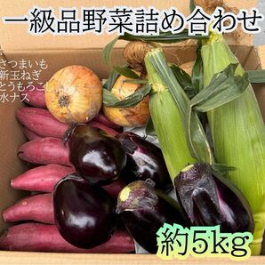 お取り寄せグルメ 一級品 野菜詰め合わせセット　5kg ゴールドラッシュ　泉州水ナス　泉州新玉ねぎ　茨城県産　シルクスイート