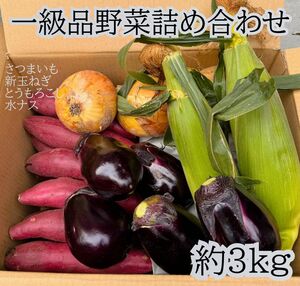 お取り寄せグルメ 一級品 野菜詰め合わせ 約3kg 長崎県産ゴールドラッシュ　泉州水ナス　泉州新玉ねぎ　茨城県産　シルクスイート