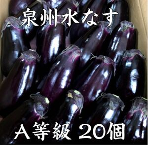 期間限定　A等級 泉州水なす 約4kg 20個箱入り ぬか漬けに　御中元 お中元 父の日 業務用 お取り寄せ 大阪名物 なすび 