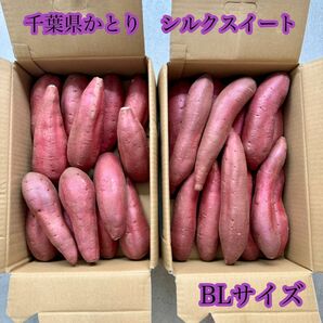 1ヶ月以上お日持ちします 千葉県かとり産　シルクスイート　BLサイズ　5kg 若干曲がりがあります　冷やし焼き芋にも♪