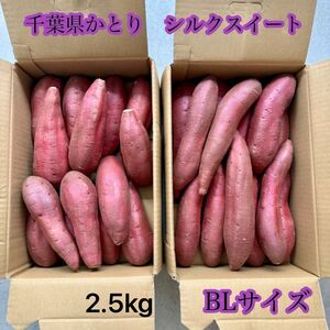 1ヶ月以上お日持ちします 千葉県かとり産　シルクスイート　BLサイズ　2.5kg 若干曲がりがあります　冷やし焼き芋にも♪
