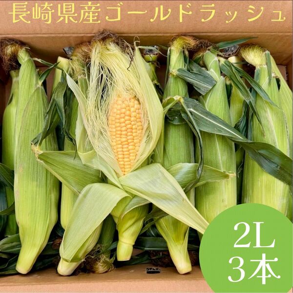 A等級　長崎県産　ゴールドラッシュ　とうもろこし　2L 3本　約0.9kg〜1kg 甘い