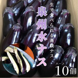 期間限定　A等級 泉州水なす 10個箱入り 約2kg ぬか漬けに　御中元 お中元 父の日 業務用 お取り寄せ 大阪名物 なすび 