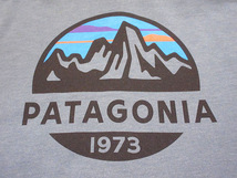 Patagonia●ロゴプリントオーガニックコットンジップアップパーカ水色size L●240512i4-m-swpパタゴニアフルジップフーディー_画像8