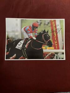  horse racing navy blue Trail Japan Dubey 2020 luck .. one . hand with autograph photograph A4 deep impact production piece Justin milano door cape . futoshi 