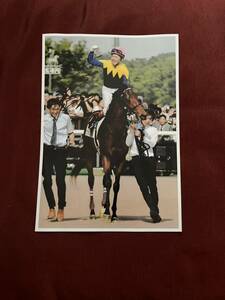  horse racing Japan Dubey 2018wagne Lien luck .. one . hand with autograph photograph A4 deep impact Justin milano door cape . futoshi 