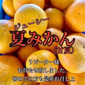 甘夏みかん 4kgセール中　ご家庭用　ビタミンC クエン酸たっぷり　美容と健康にぜひ！